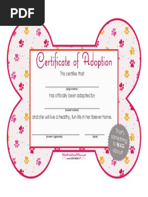 Certificate of Adoption Girl