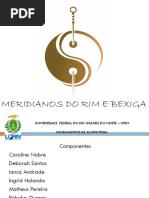 12 - Seminario - Meridianos Do Rim e Bexiga
