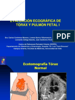 Evaluacion Ecografica de Torax y Pulmon PDF