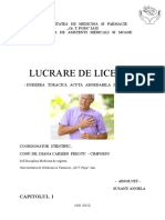 Lucrare - Licenta (RC 1)