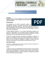 Practica de Zoologia. La Anatomia de Un Crustaceo Decapodo. Guion de La Practica. OEB 2013 PDF
