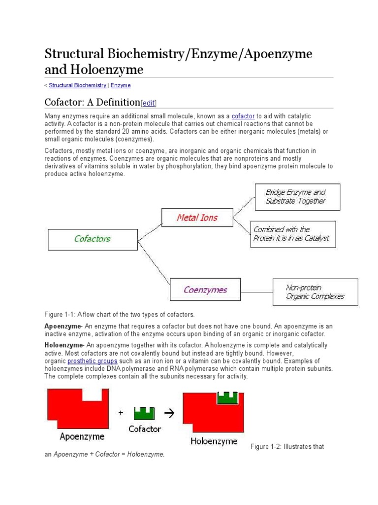 Structural Biochemistry/Enzyme/Apoenzyme and Holoenzyme Cofactor A