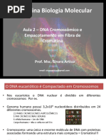 Aula 2 cromossomos e compactação DNA.pdf