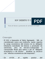 IGV Debido y Credito