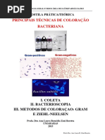 4ªaula Pratica Coloracões Gram Ziehl
