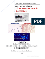 4 Aula Pratica Coloracões Gram Ziehl