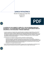 Business Case Quinua Patagonia