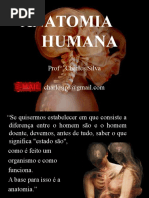 Anatomia Intro