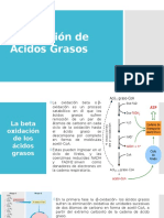 β-oxidación de ácidos grasos: proceso catabólico