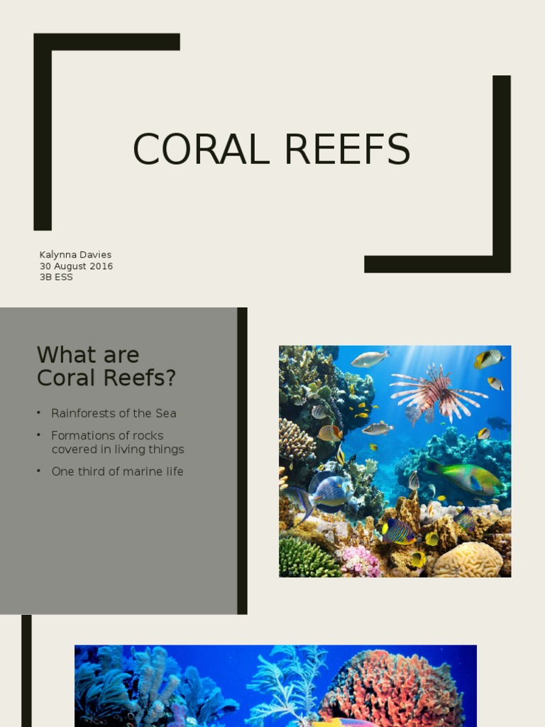 Understanding Coral Reefs and Their Threats | PDF | Social Science ...