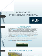 Actividades Productivas en Bolivia