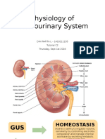 Physiology of Genitourinary System: DWI RAFITA L - 1410211135 Tutorial C2 Thursday, Sept 1st 2016