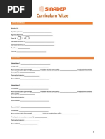 Download Currculum Vitae by SINADEP SN323790420 doc pdf