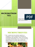 Micronutrient Es