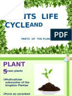 Plants & Plants Life Cycle