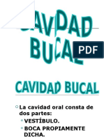 3. CAVIDAD BUCAL