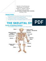 Handouts in Skeletal System