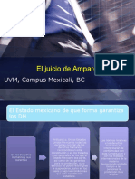 El Juicio de Amparo y Los Efectos