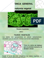 Diapositiva 1 PDF