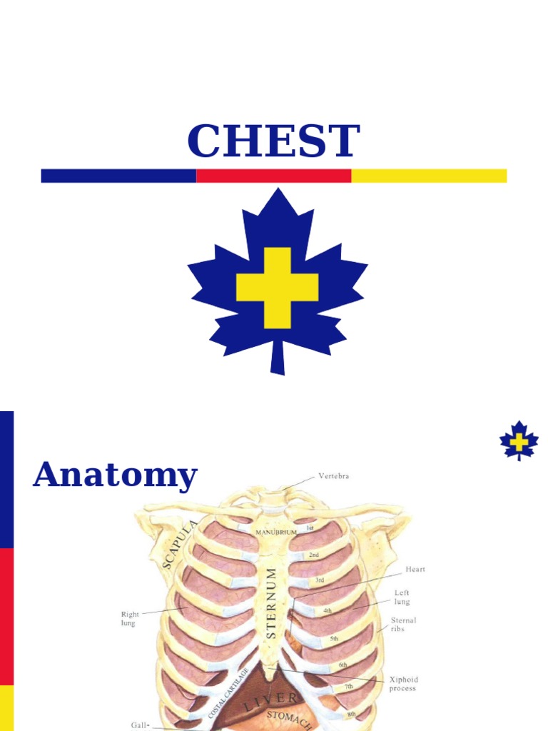 Chest Injuries PDF Thorax Breathing