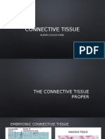 Connective Tissue Slides