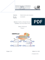 ensayo de genetica y bio mole.docx