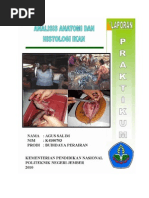 Download Analisis Anatomi Dan Histologi Ikan by Macan Kampus SN32382271 doc pdf