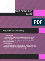 Perkandangan Pullet Dan Layer