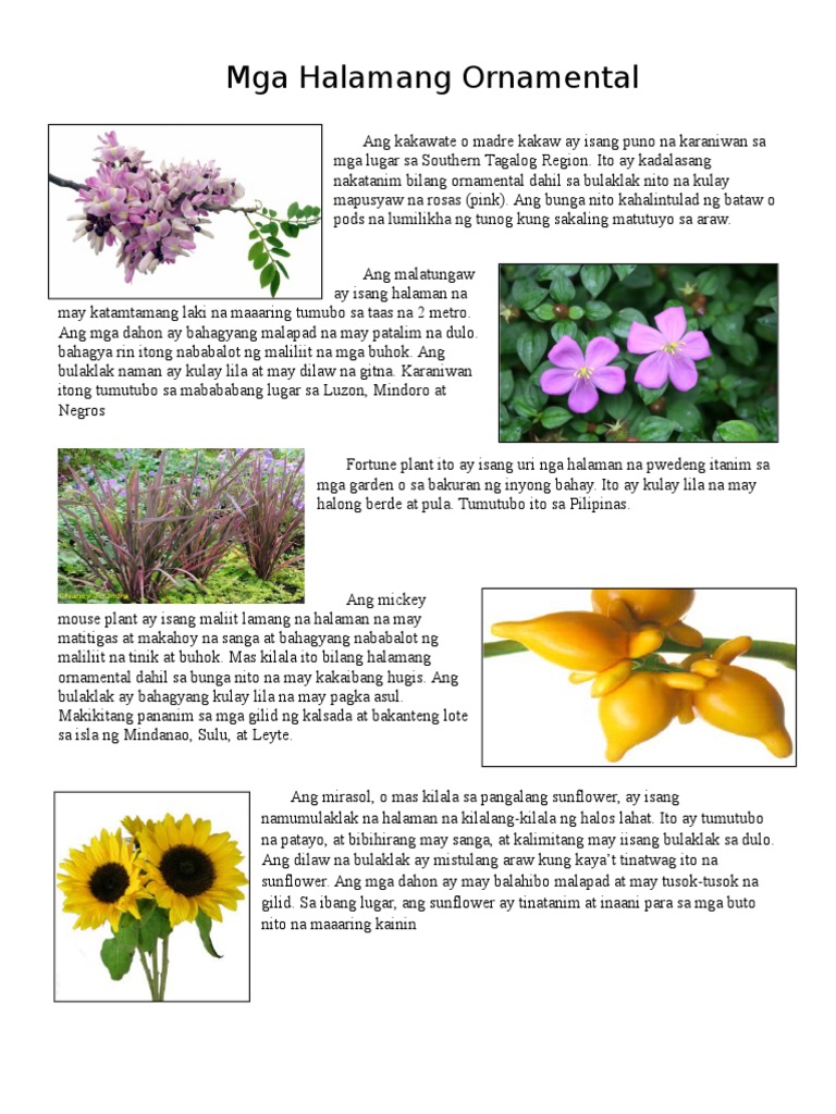 Mga Halamang Ornamental PDF
