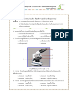งานวิทย์ 75 ข้อ PDF