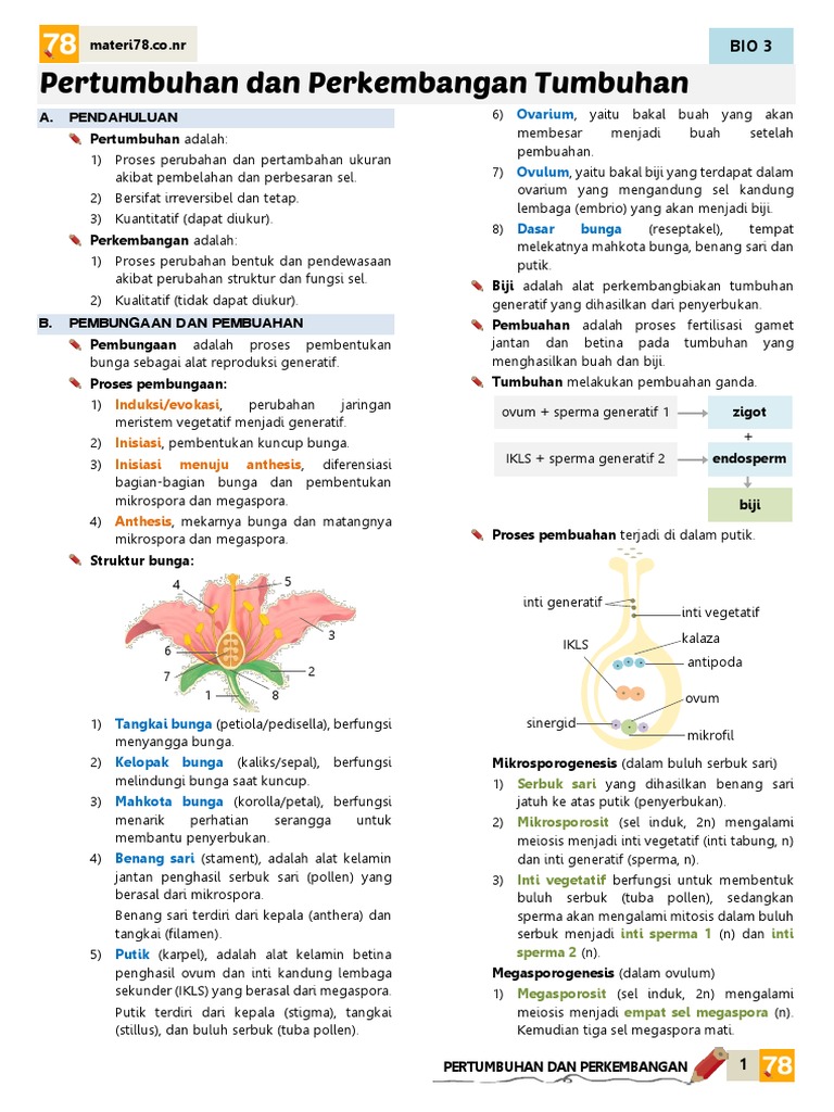 Biologi Materi Tumbuhan