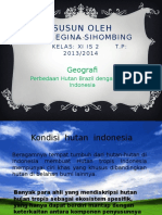 Geografi SMA Perbedaan Hutan Brazil Deng