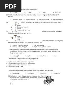 Bio Sd Docx
