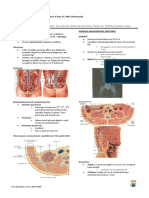 Radio Lec 10 Genitourinary Radiology 1 Minion Notes