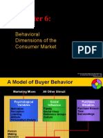 Chapter 6 - Behavioral Dimensions of the Consumer Market