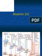 Anemii (II)