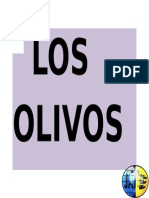 Los Olivos