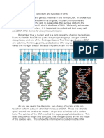 structure and function of dna