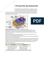 Struktur Sel Prokariotik Dan Eukariotik