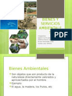 Bienes y Servicios Ambientales