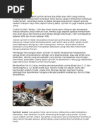 Download Syirkah Abdan Dan Wujuh by ShaniaDwiniAzzahra SN323886381 doc pdf