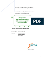 seimc-procedimientomicrobiologia22