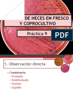 9 Examen de Heces y Coprocultivo