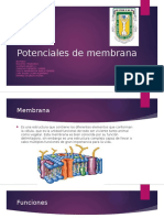 potenciales de membrana.pptx