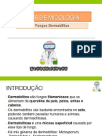 Os principais fungos dermatófitos