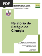 Relatorio de Estagio