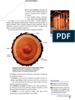 Madera: propiedades, proceso y preparación