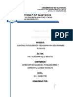 Jefes de Fiscalizacion, Ficalizadores