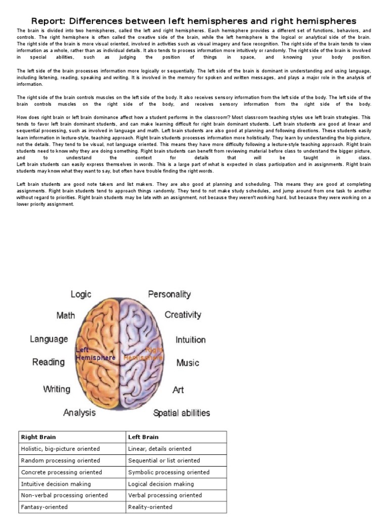 Report: Differences Between Left Hemispheres and Right Hemispheres ...