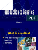 Intro to Genetics (2003)